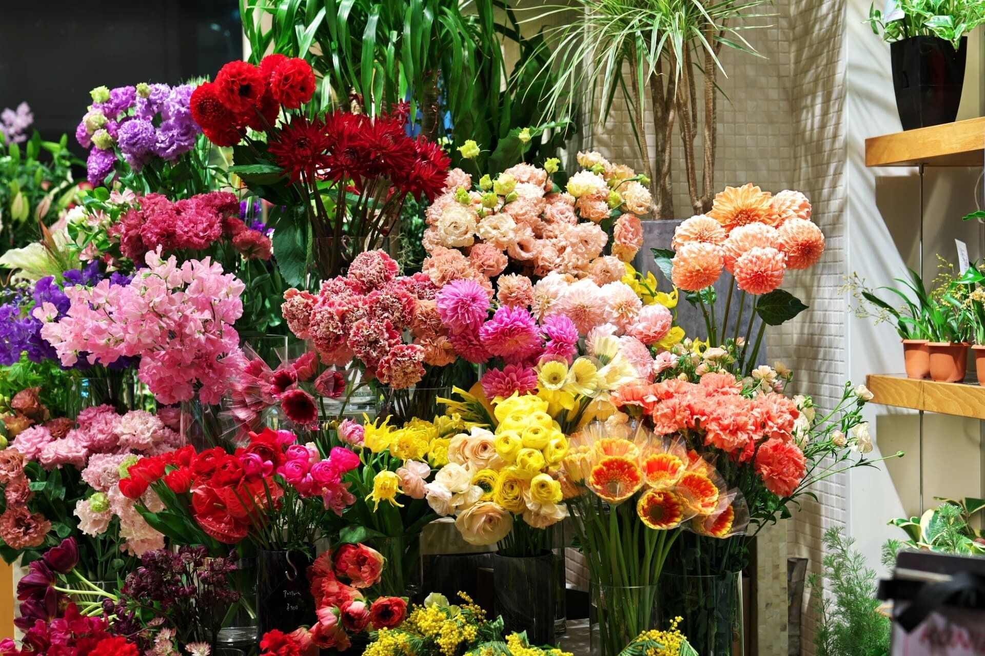 切り花